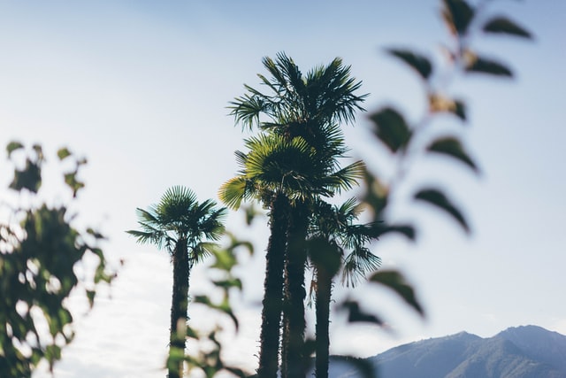 Hakkımızda 1 fabian enzensperger JPvJrNqtzJU unsplash